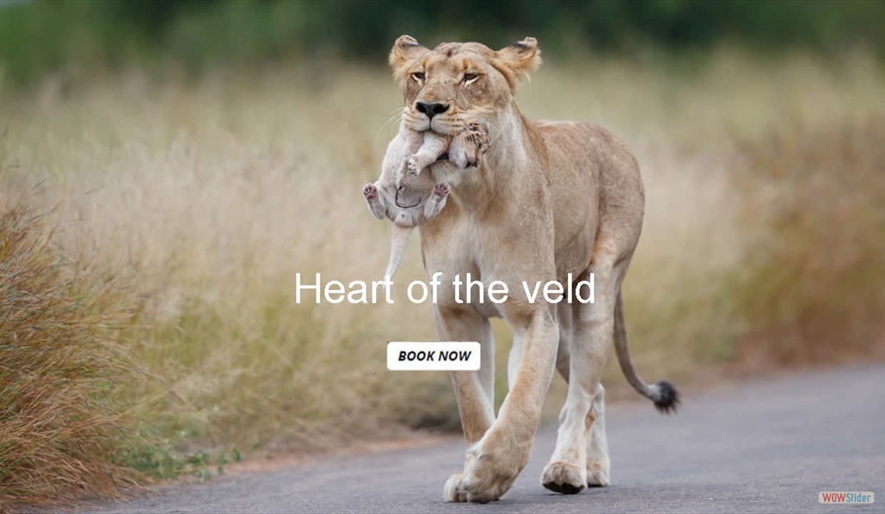 heart_of_veld