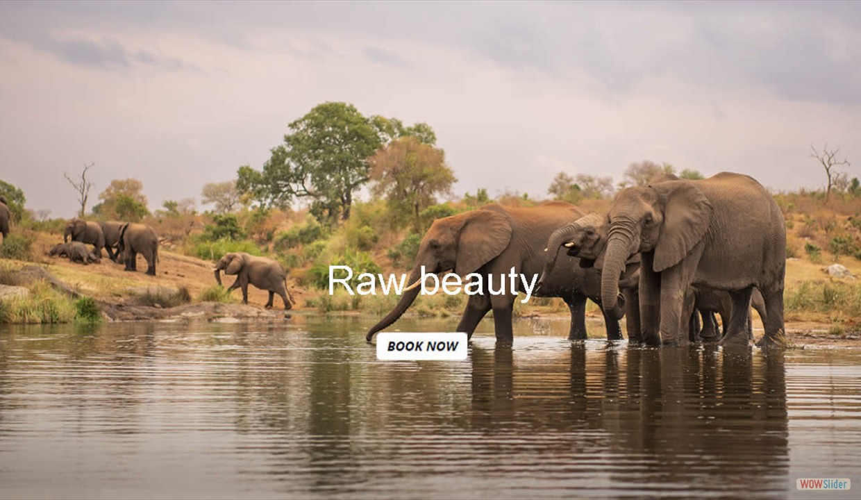 raw_beauty