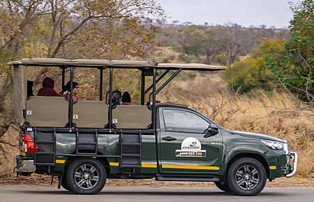 Kruger National Park  full-day safari