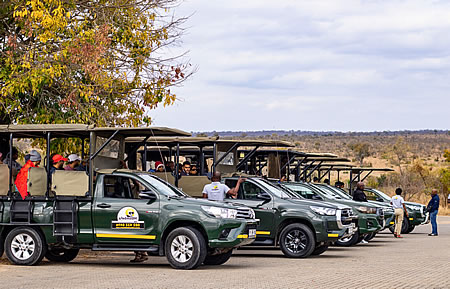 Open vehicle big 5 game drives Kruger Park