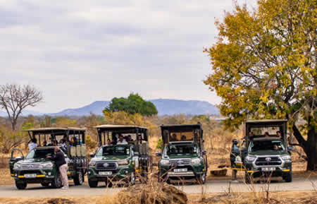 Open vehilcles game spotting Kruger Park