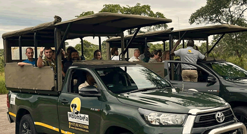 Kruger Park and Panorama Route in Mpumalanga safaris