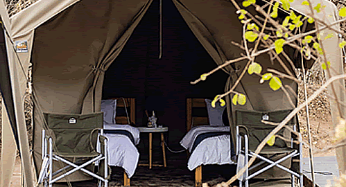 Open vehicle safaris and over night stays in Kruger National Park.