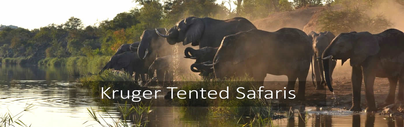 Open vehicle day trips and overnight stays in Kruger National Park