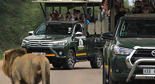 3 day safari adventure spotting the Big 5