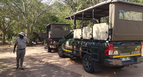 Kruger National Park overnigh safaris and game drives